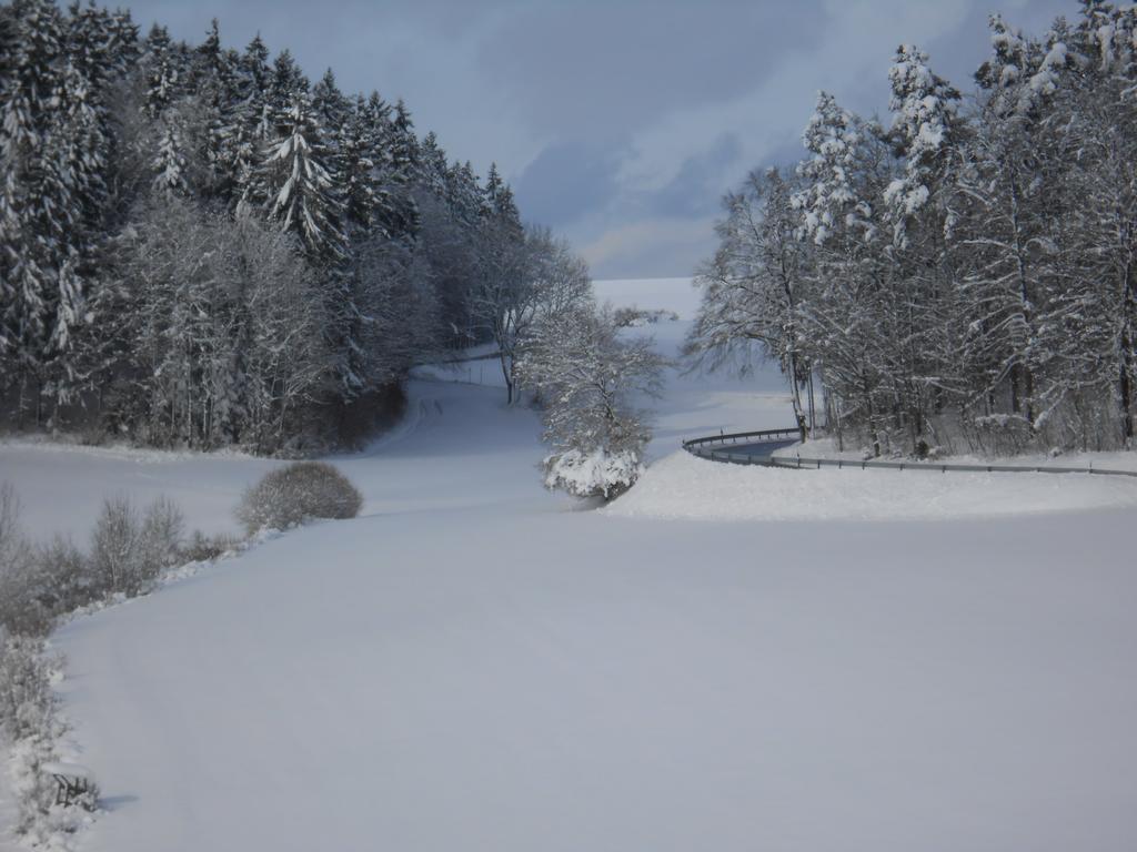 Hotel Landgasthof Schutzen Tengen Exteriér fotografie